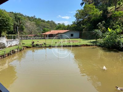 Sítio, 5 quartos, 3 hectares - Foto 1