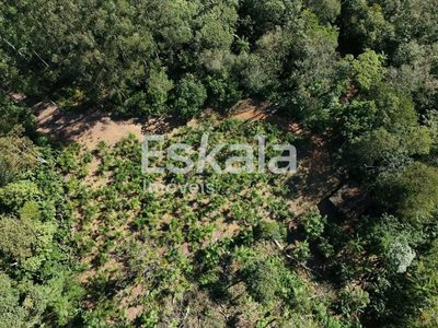 Terreno, 3 hectares - Foto 3