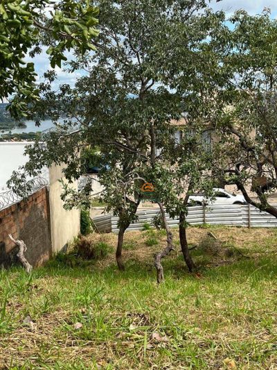 Terreno, 398 m² - Foto 4