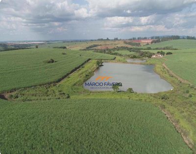 Fazenda, 307 hectares - Foto 1