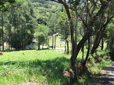 Terreno, 3 hectares - Foto 4