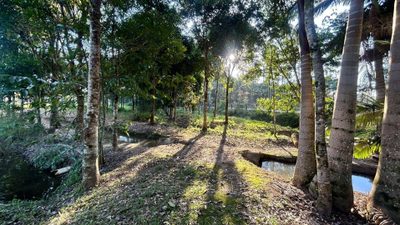Terreno, 4 hectares - Foto 1