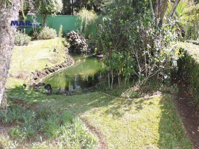 Casa, 7 quartos, 700 m² - Foto 4