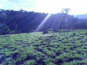 Terreno, 5 hectares - Foto 2