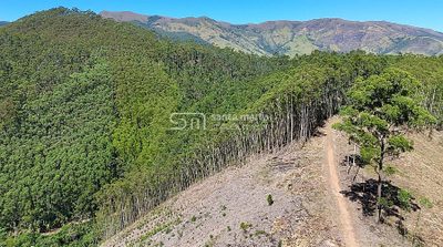 Fazenda, 252 hectares - Foto 2