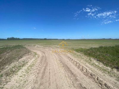 Fazenda, 100 hectares - Foto 2