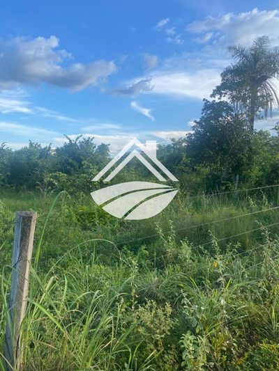 Fazenda, 184 m² - Foto 4