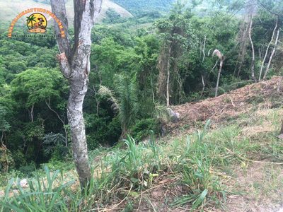 Terreno, 3875 m² - Foto 5