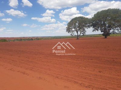 Fazenda, 220 hectares - Foto 4