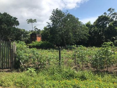 Terreno, 288 m² - Foto 3