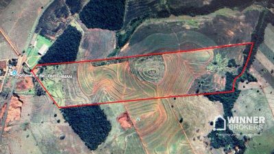 Fazenda, 53 hectares - Foto 3