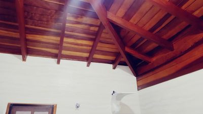 Casa, 4 quartos - Foto 5