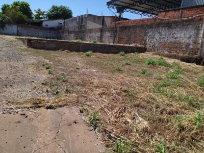 Terreno - Foto 3
