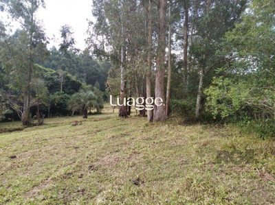 Terreno, 2501 m² - Foto 4