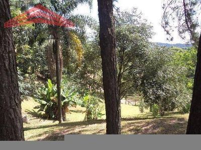 Sítio, 3 quartos, 3800 m² - Foto 2