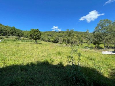 Terreno, 5000 m² - Foto 5