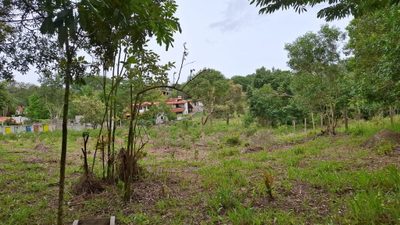 Terreno, 3517 m² - Foto 4