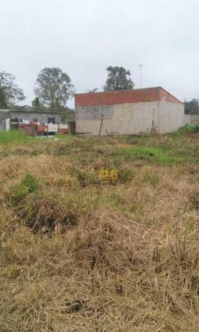 Terreno, 250 m² - Foto 4