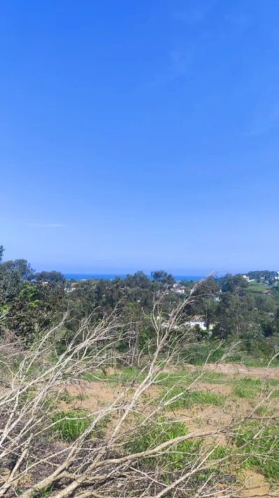 Terreno, 456 m² - Foto 5