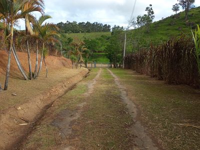 Fazenda, 10000 m² - Foto 1