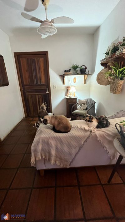 Apartamento, 2 quartos, 12 m² - Foto 3
