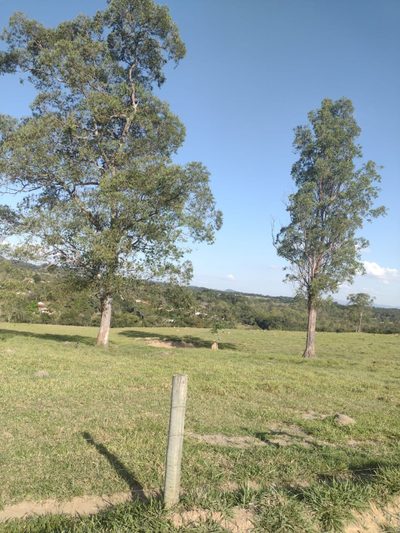 Terreno - Foto 1