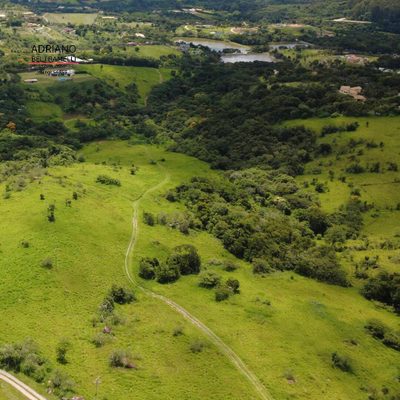 Terreno, 4 hectares - Foto 1