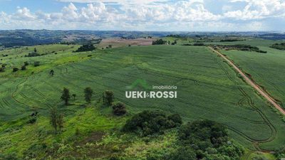 Fazenda, 126 hectares - Foto 4