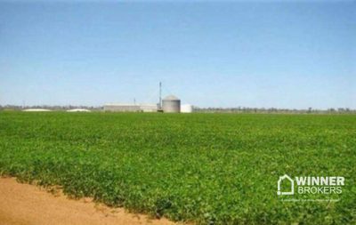Fazenda, 11829 hectares - Foto 2