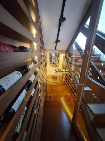 Casa, 4 quartos, 367 m² - Foto 3