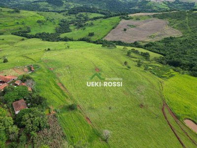 Fazenda, 242 hectares - Foto 2
