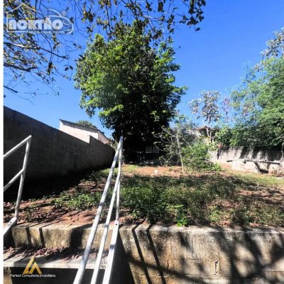 Casa, 3 quartos, 600 m² - Foto 3