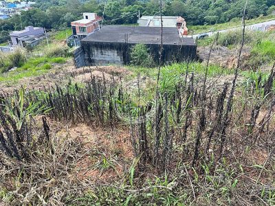 Terreno, 251 m² - Foto 5