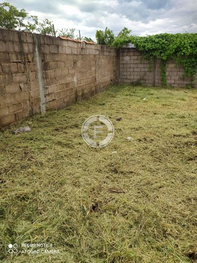 Terreno, 556 m² - Foto 4