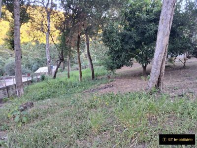 Terreno, 3600 m² - Foto 4