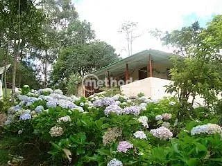 Chácara, 11 quartos, 5 hectares - Foto 5
