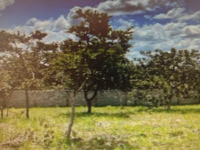 Terreno, 1000 m² - Foto 2