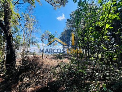 Terreno, 2 hectares - Foto 4