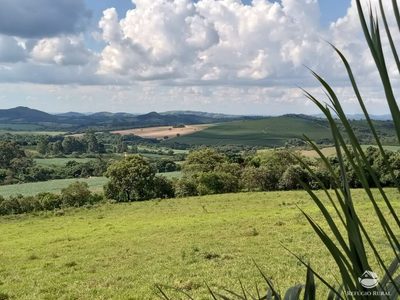 Sítio, 13 hectares - Foto 5