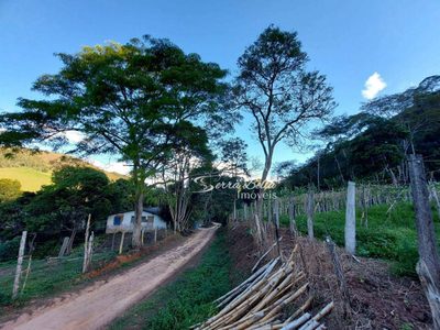 Fazenda, 58 hectares - Foto 1