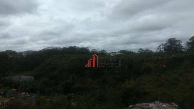 Terreno, 11 hectares - Foto 3