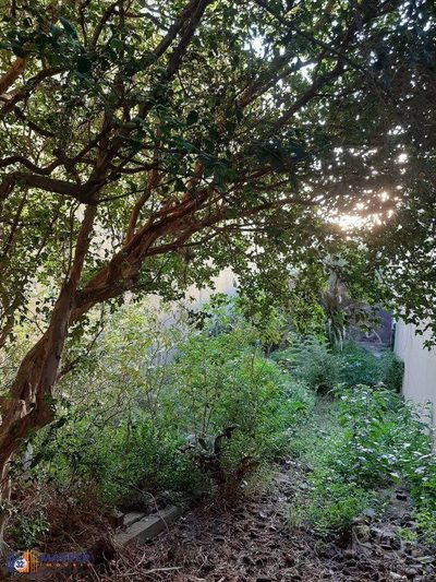 Terreno, 418 m² - Foto 4