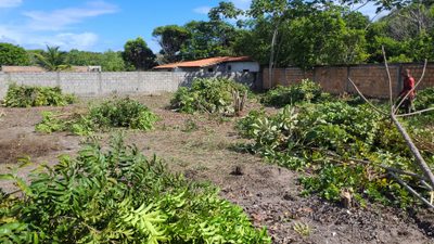 Terreno, 400 m² - Foto 4