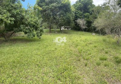 Terreno, 2500 m² - Foto 4