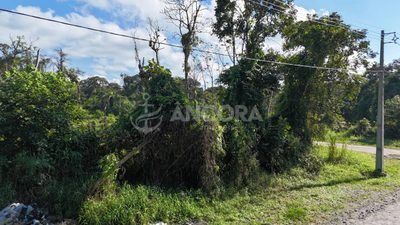 Terreno, 375 m² - Foto 4