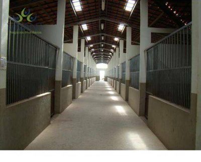 Fazenda, 10 hectares - Foto 4