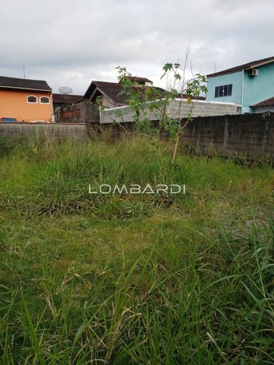 Terreno, 300 m² - Foto 1