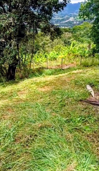Terreno - Foto 3