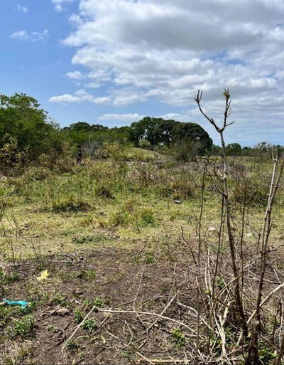 Terreno, 1 hectares - Foto 2