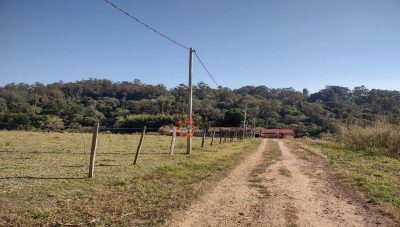 Terreno, 6 hectares - Foto 4